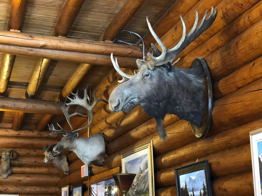Num Ti Jah has a hunting lodge feel.