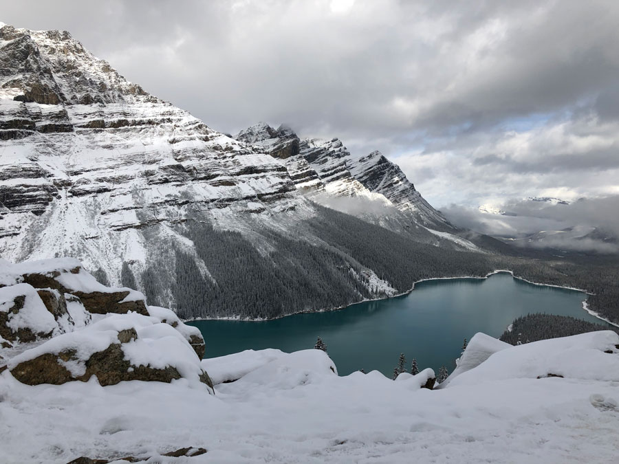 Peyto Lake from the Upper Viewpoint