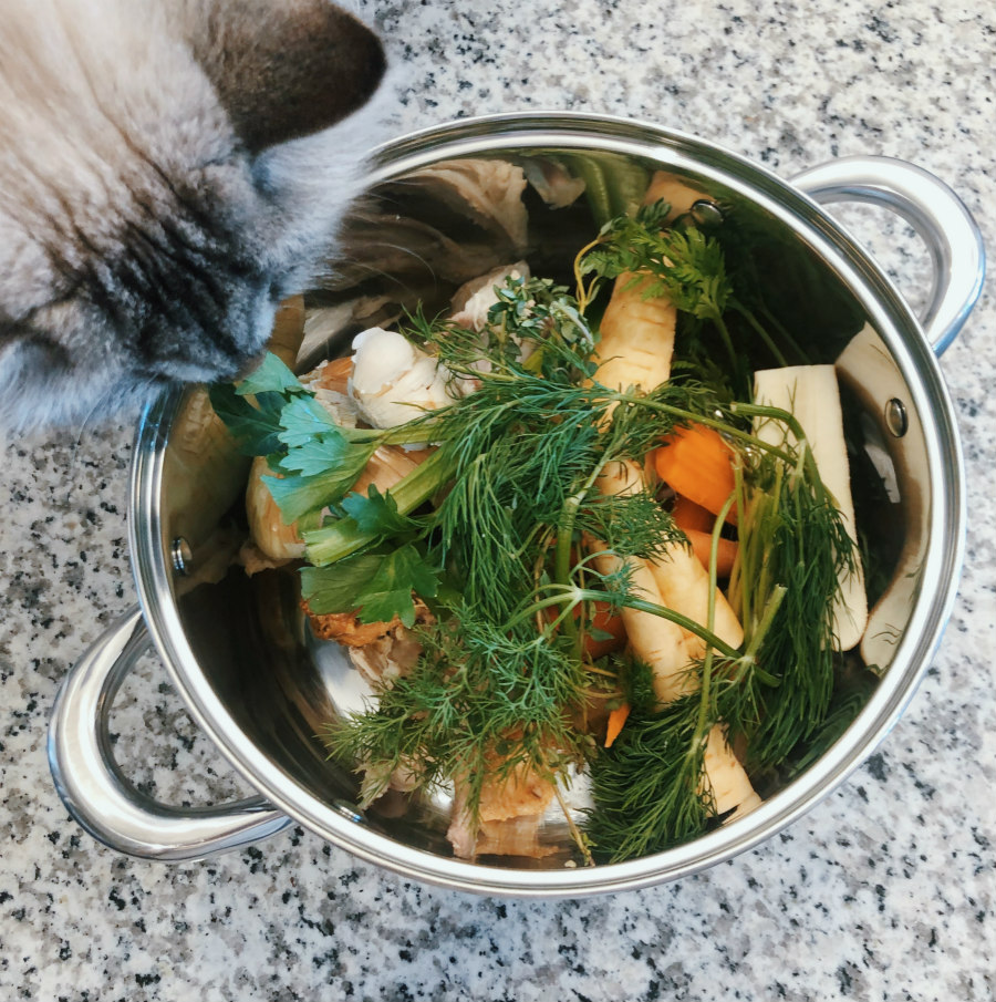Kitty and Chicken Stock