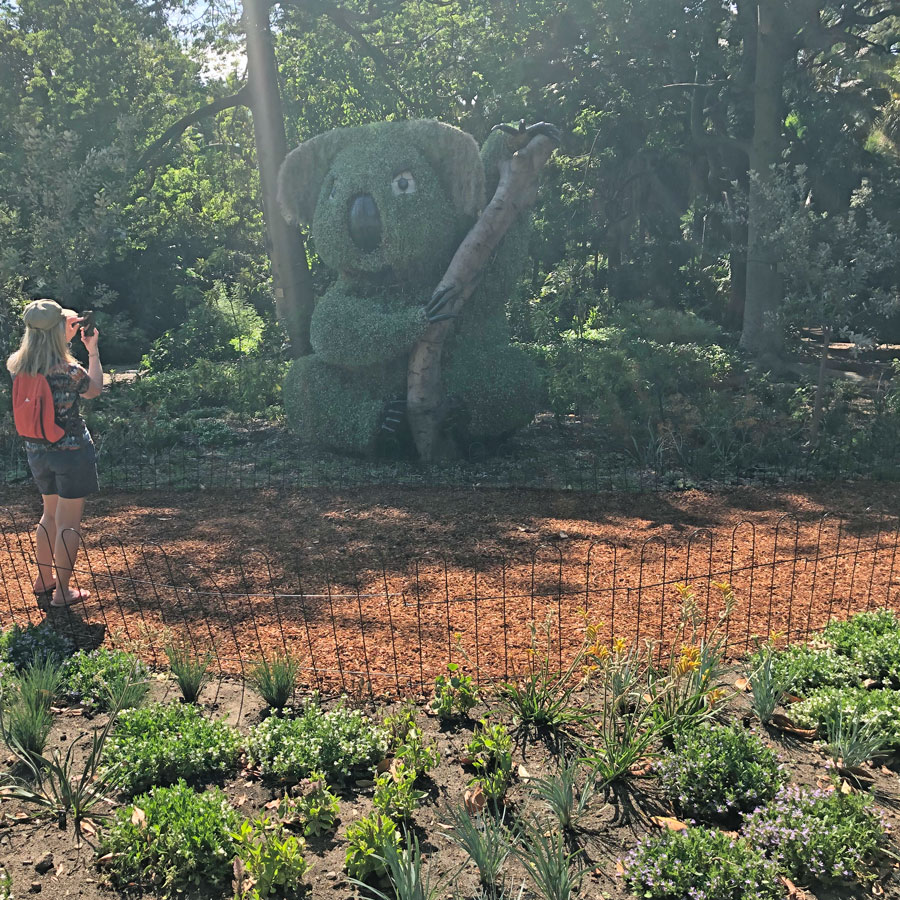 Sydney Royal Botanical Gardens.