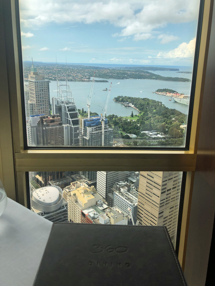 Vantage point during lunch at the Sydney Eye.