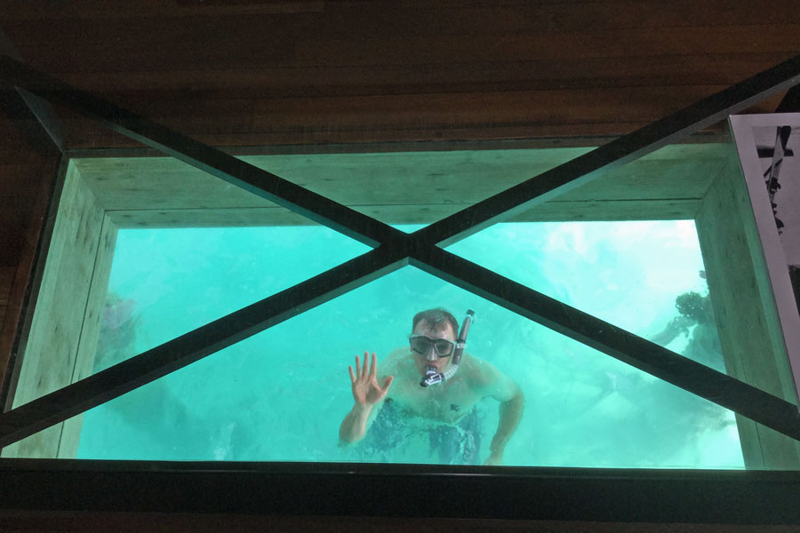 Snorkling under the bungalow.