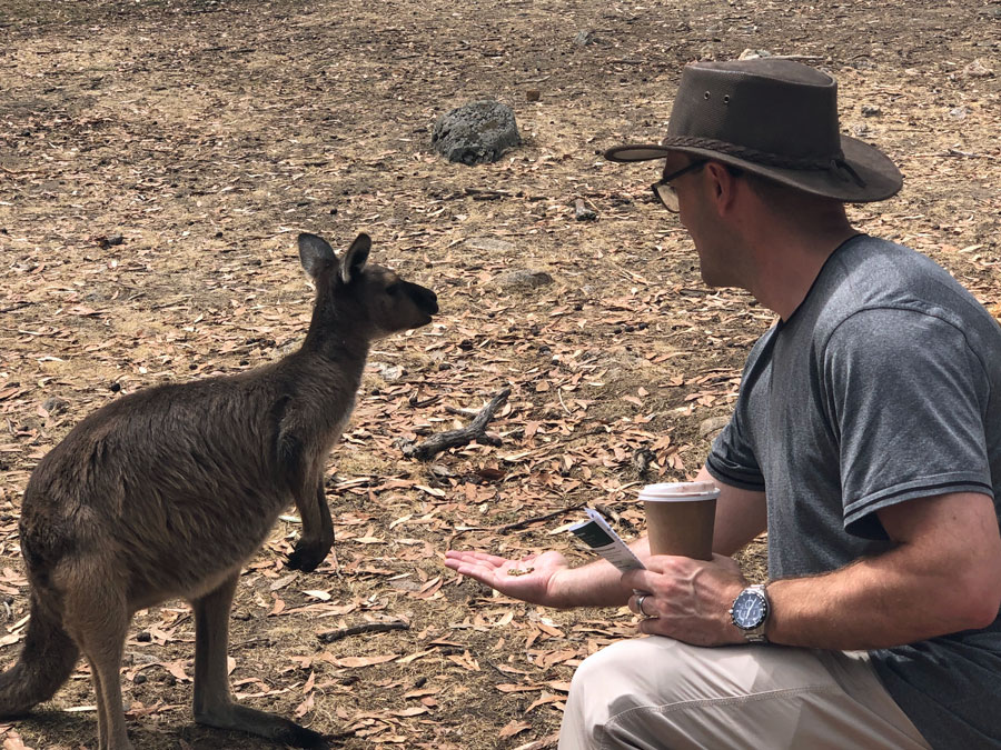 Cappuccino and kangaroos in Cleland Wildlife Park. Cappuccino and kangaroos in Cleland Wildlife Park.