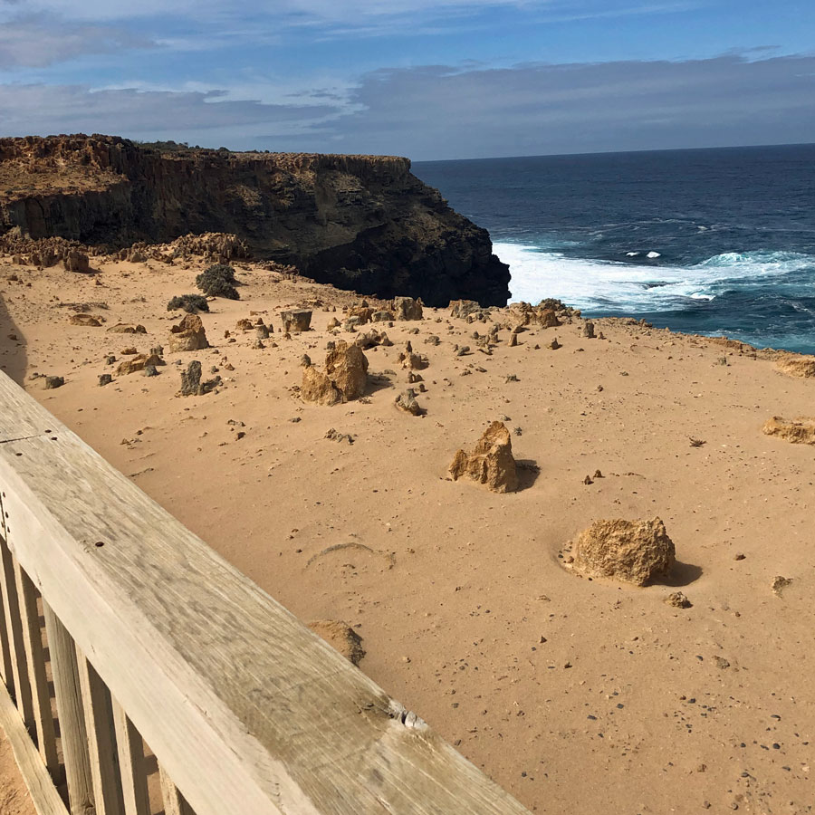 Ocean views and a petrified forest on the Great South West Walk in Australia. Ocean views on the Great South West Walk in Australia.