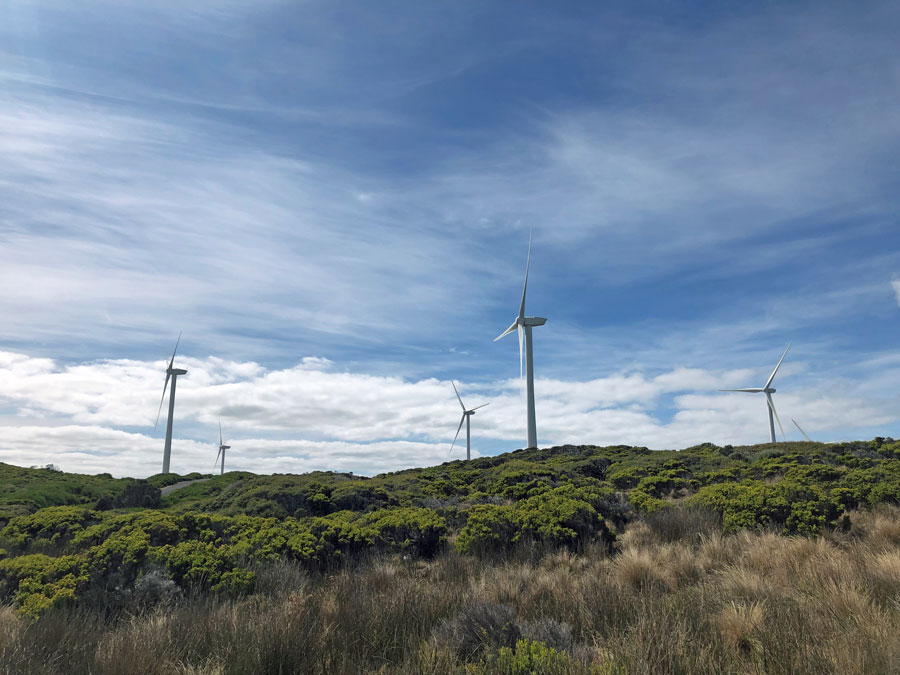 Wish I could say the wind turbines distracted me and made me trip. *LOL* Wind Turbines on the Great South West Walk in Australia.