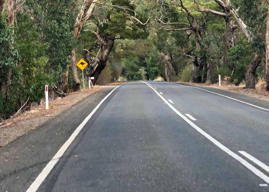 Kangaroo crossing.
