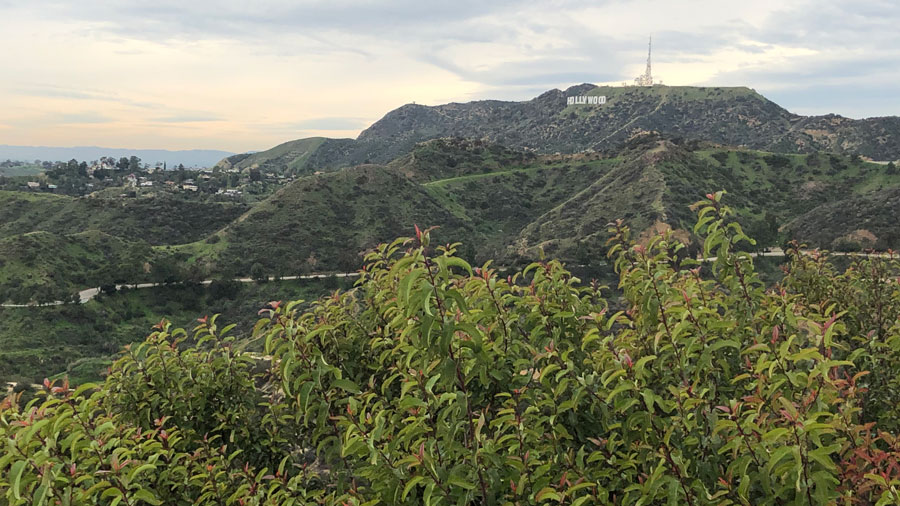 The Hollywood sign from the Griffith Observatory.