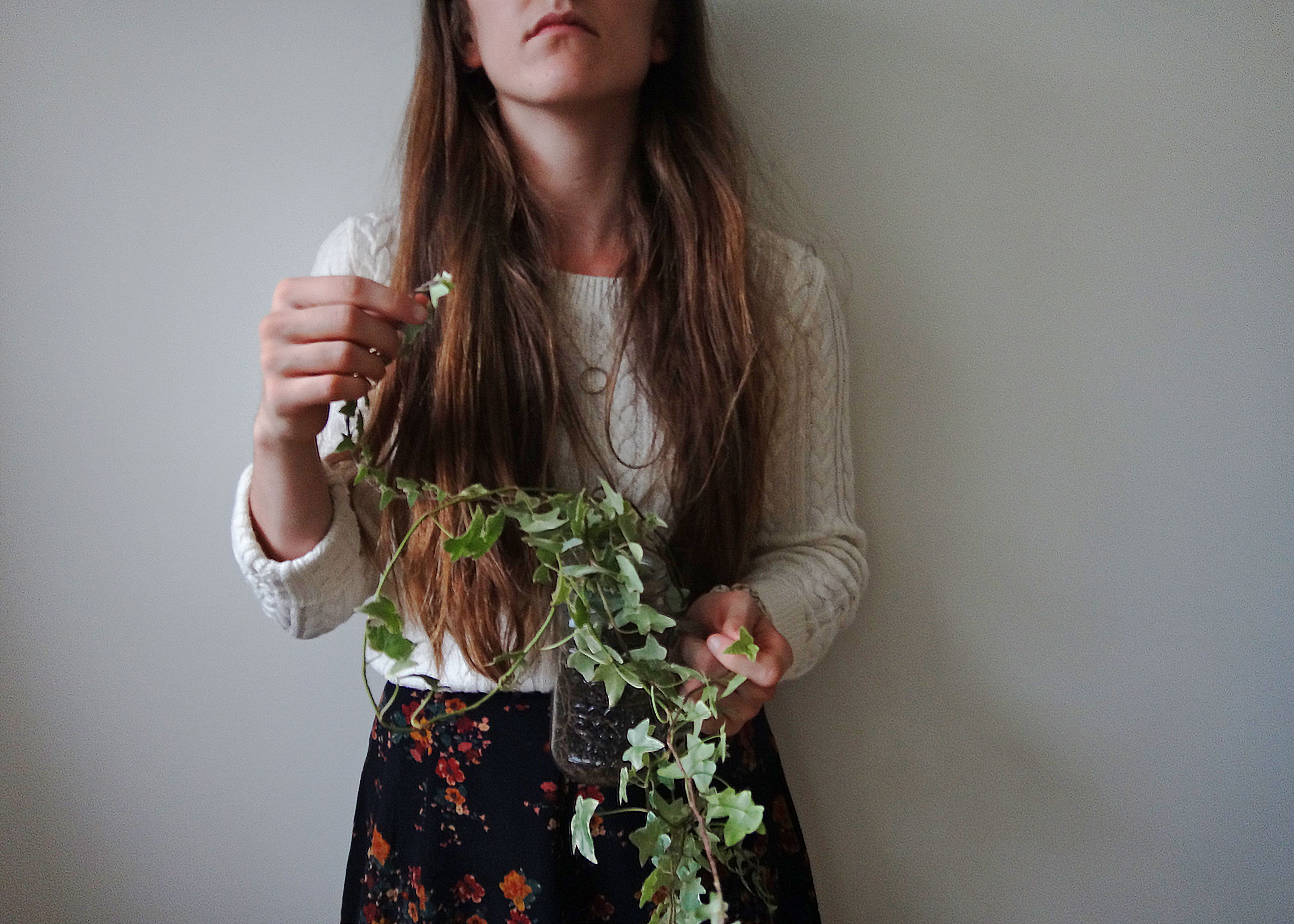 English Ivy.