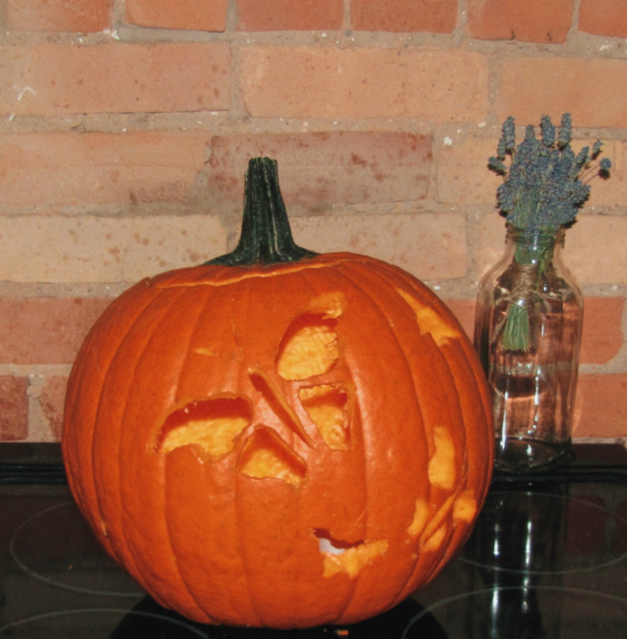 moth meme pumpkin