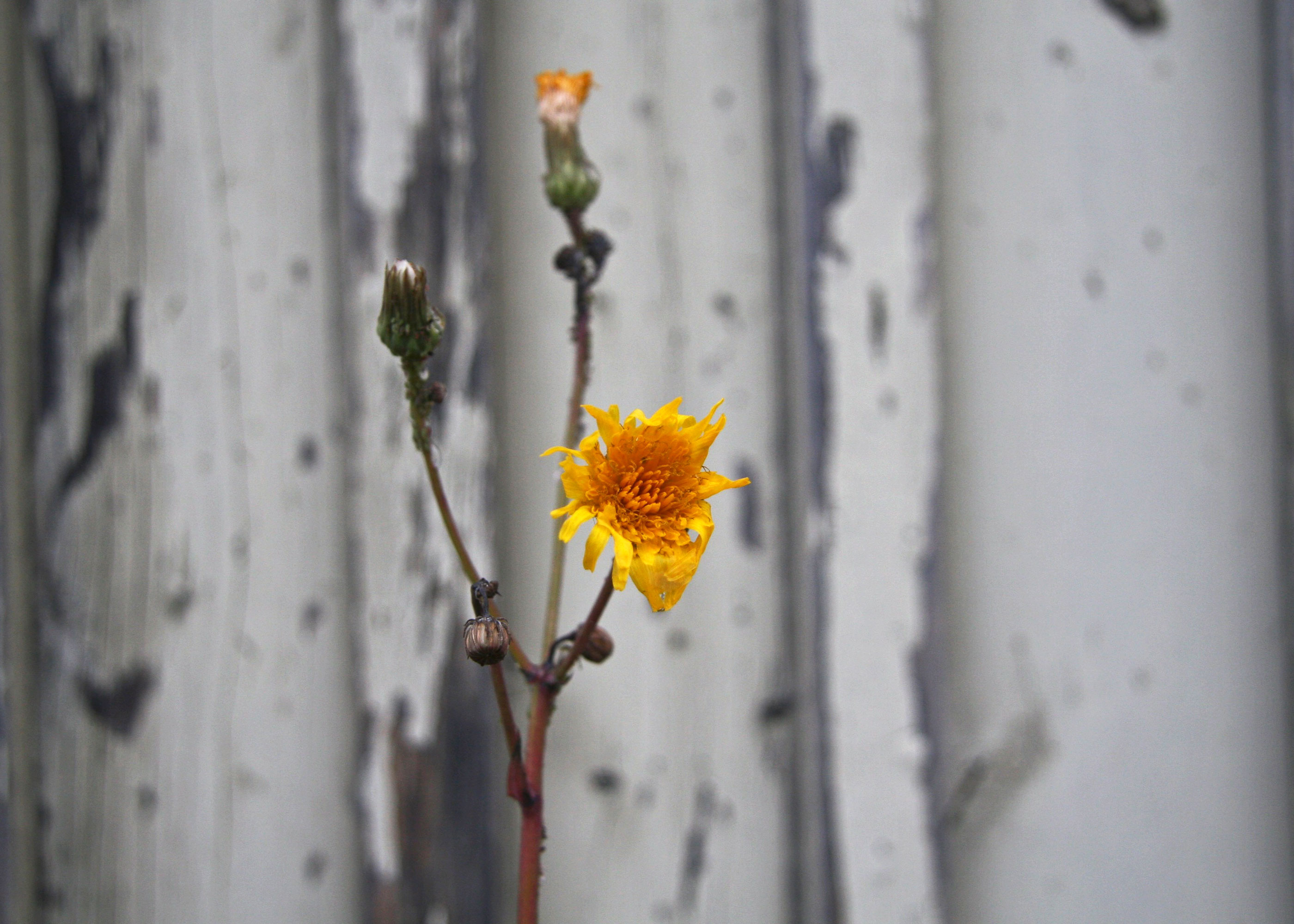 Mindfulness in Autumn.