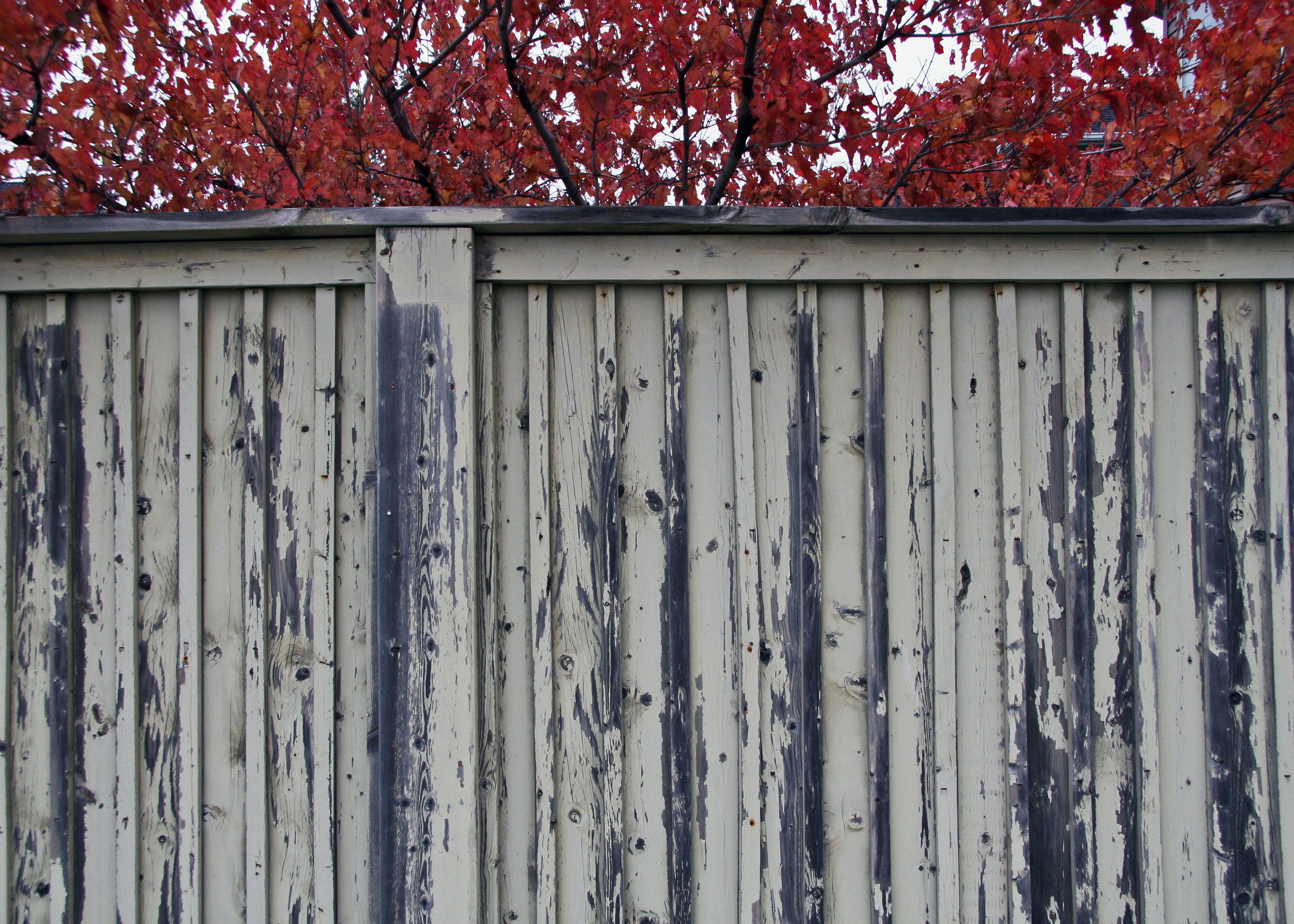 Mindfulness in Autumn.