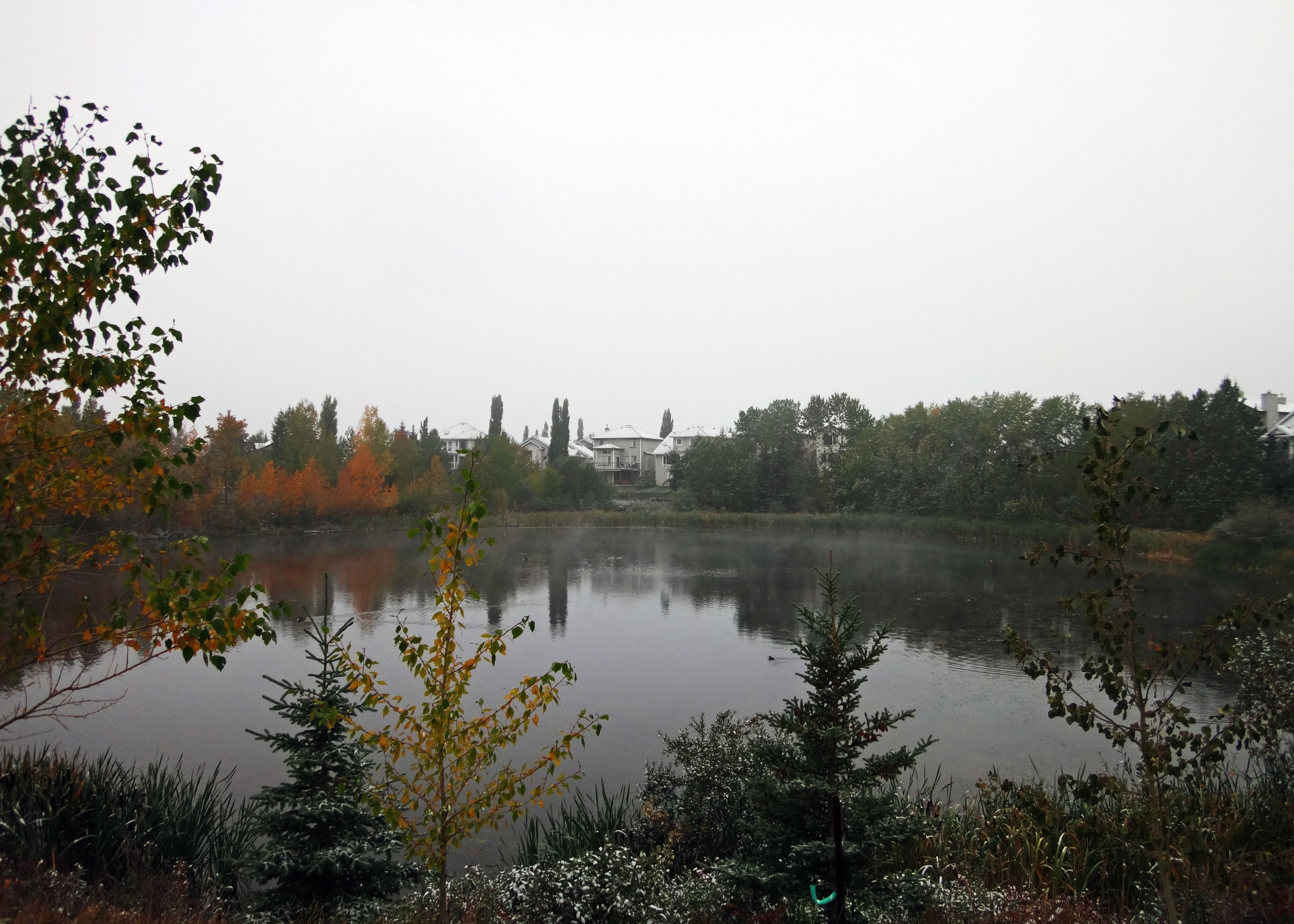 Mindfulness in Autumn.