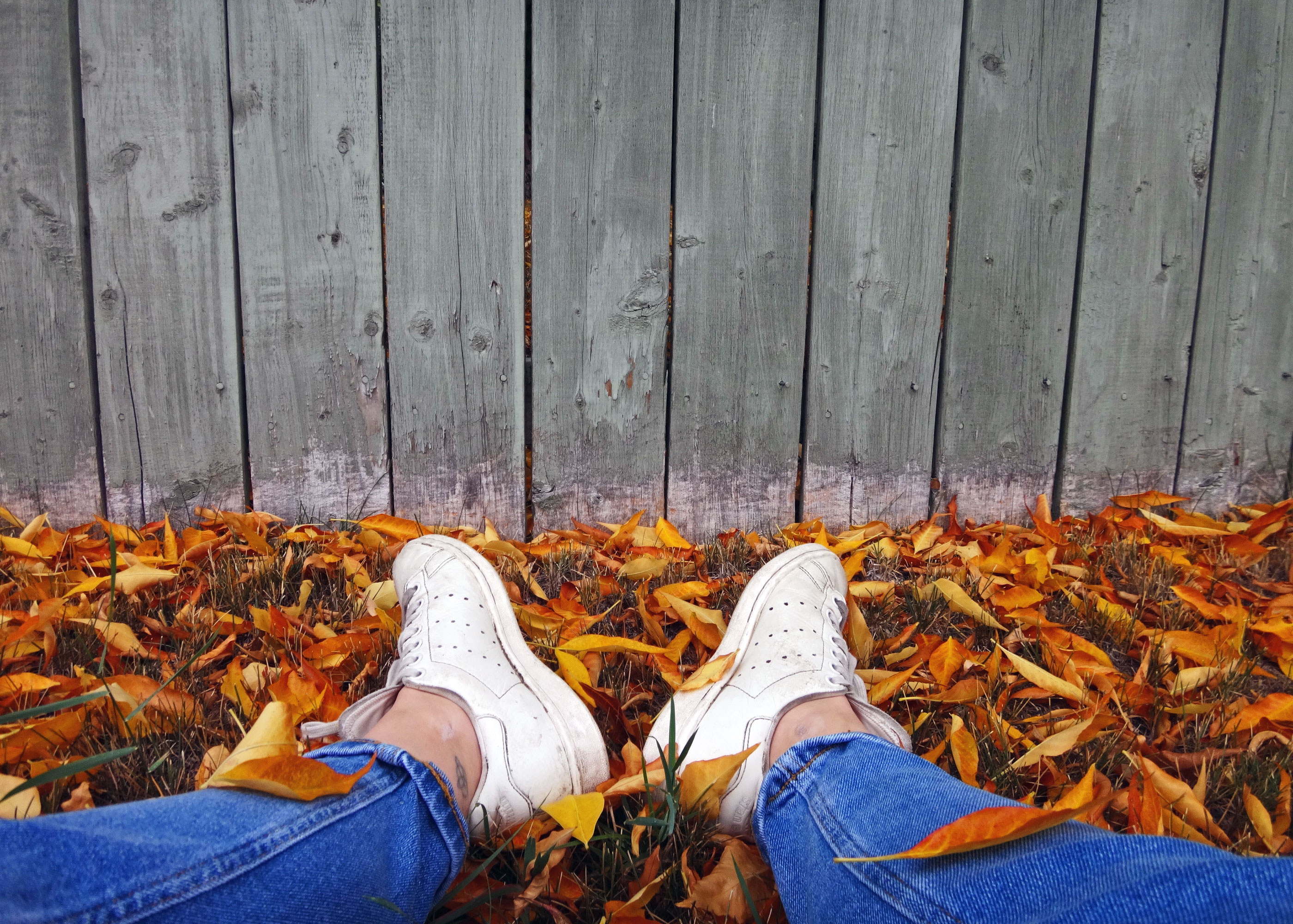 Mindfulness in Autumn.