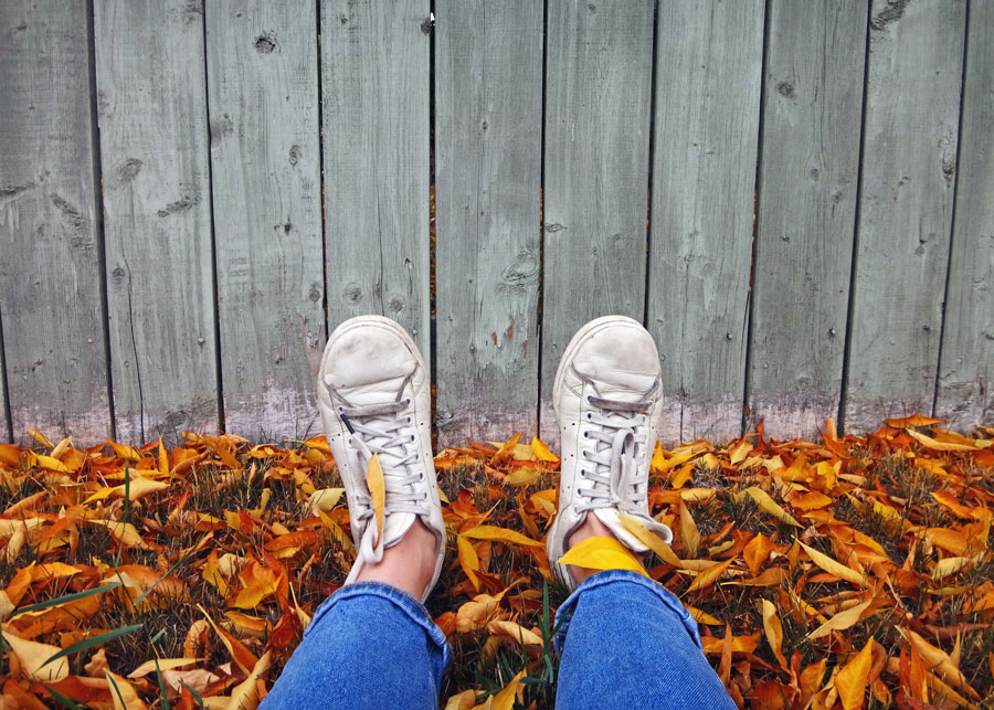 Mindfulness in Autumn