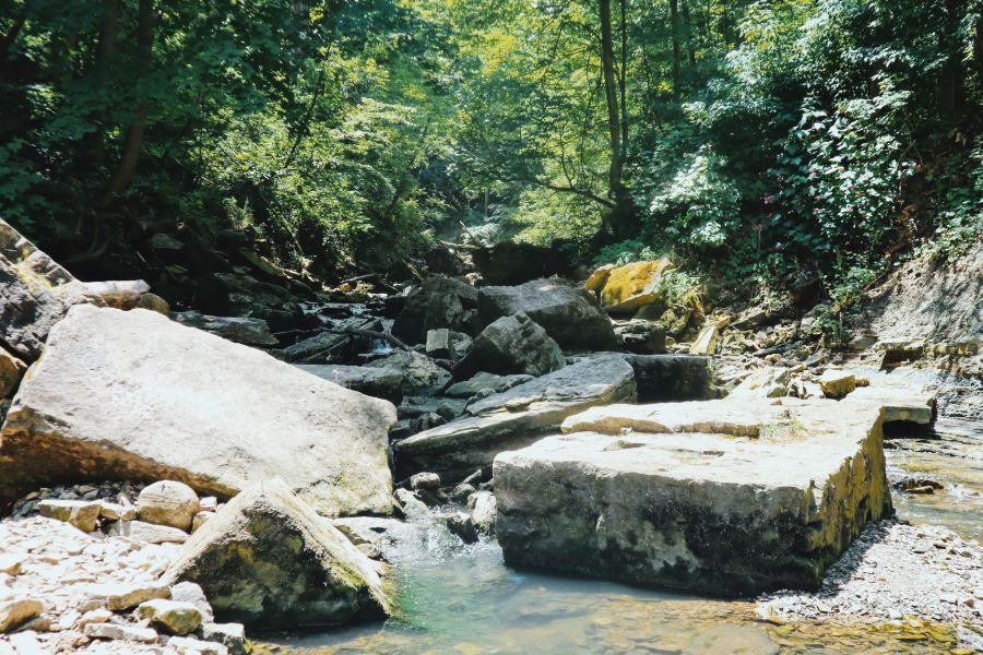 riverbed along Bruce Trail in Ontario, Canada