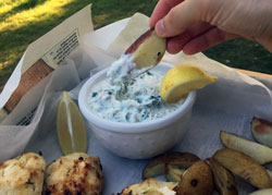 My Favourite Dips