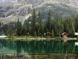 Lakeshore Cabins