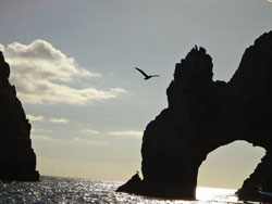 Las Cabos, Mexico