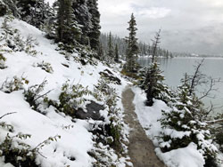 Bow Lake Trail
