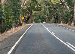 Kangaroo Crossing