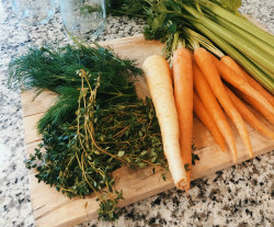 Chicken Stock Veggies
