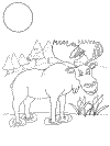 Forest Animal coloring on coloring.ws