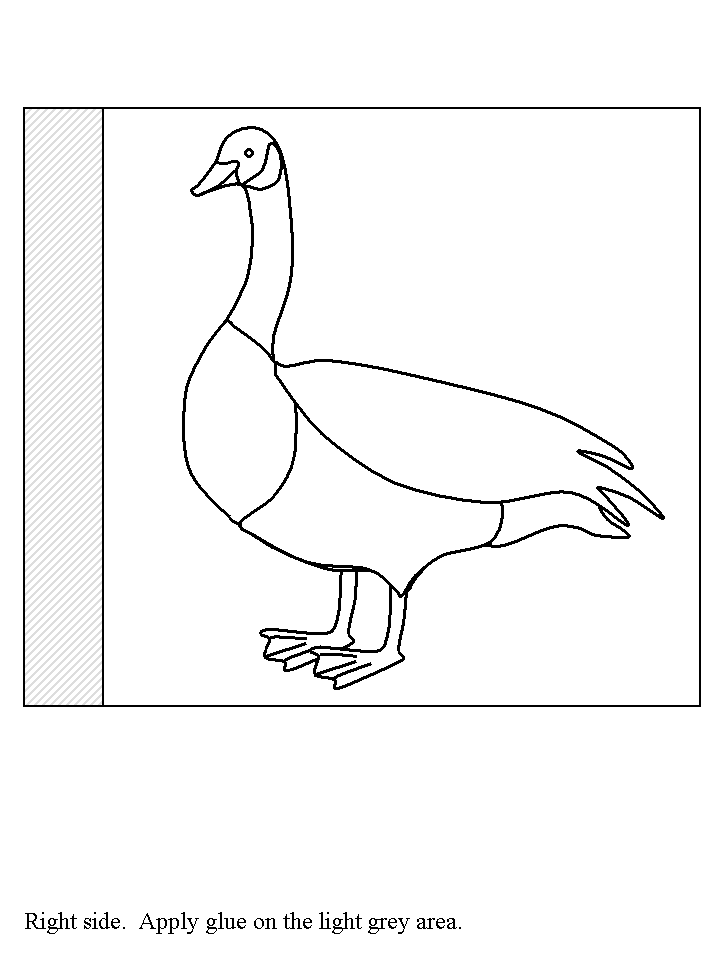 template