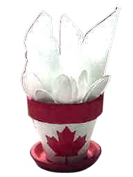 canada day party pot