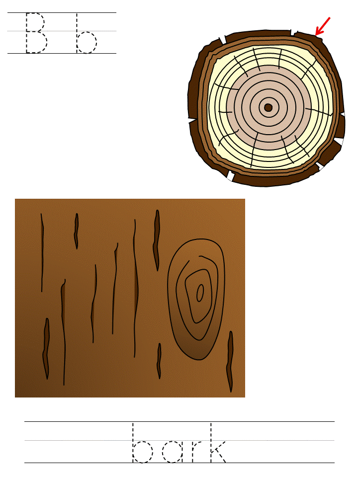 template