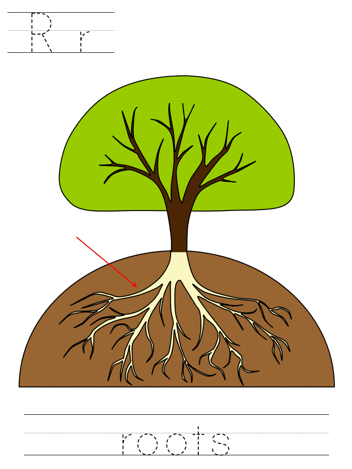 arbor day, parts of a tree, tracer pages