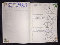 Bullet Journal Ideas: Weekly Tracking and Daily Entries