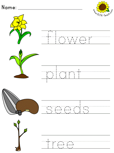 picture clue tracer worksheets