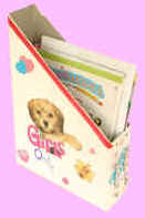 recycled magazine holder