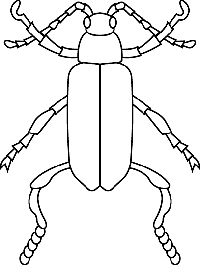 insect coloring page