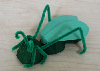 Egg Carton Cricket Craft