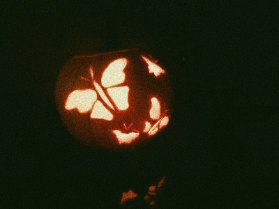 moths pumpkin carving pattern