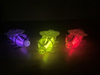 Bottle Firefly Craft