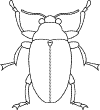 insect coloring page
