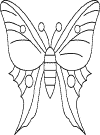insect coloring page