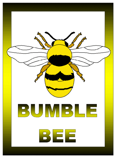 bumblebee poster
