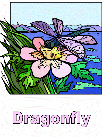 dragonfly coloring page