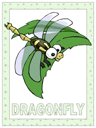 dragonfly poster