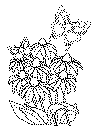 insect coloring page