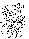 insect coloring page