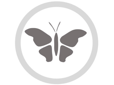moths pumpkin carving pattern