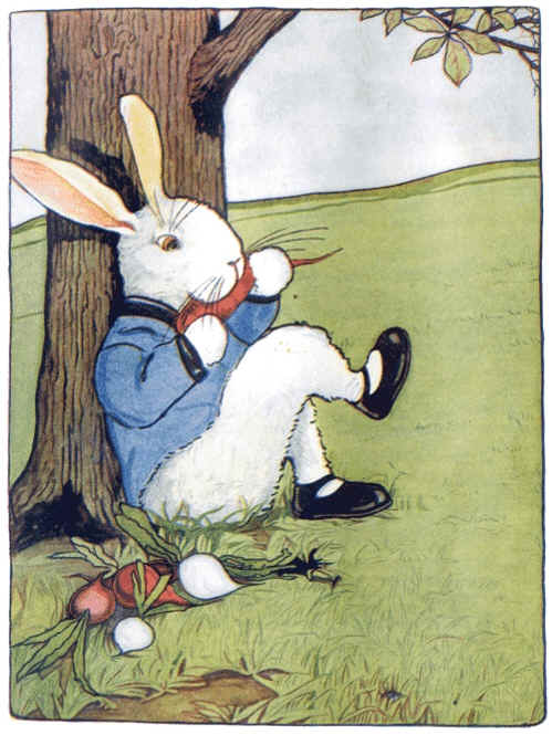 peter rabbit