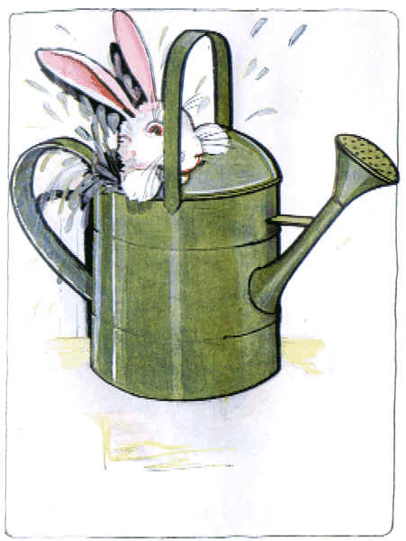 peter rabbit story