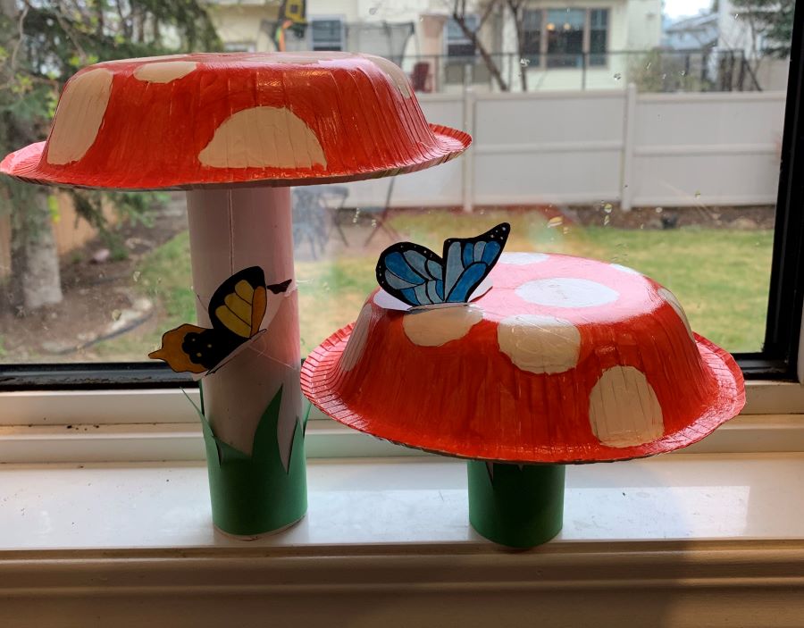 Bowl Mushroom Craft