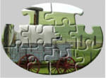 wild west jigsaw puzzles