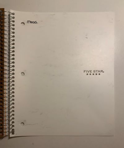 DIY Watermelon Notebook